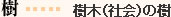 樹・・・樹木(社会)の樹